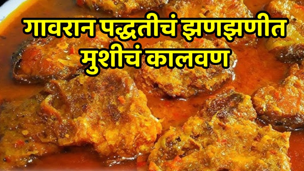 Gavran Mushich Kalvan Recipe In Marathi fish curry recipe in marathi Gavran Mushich Kalvan Recipe In Marathi fish curry recipe in marathi