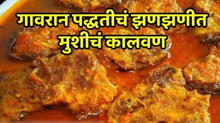 Gavran Mushich Kalvan Recipe In Marathi fish curry recipe in marathi Gavran Mushich Kalvan Recipe In Marathi fish curry recipe in marathi