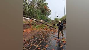 Nashik heavy rainfall damage, Maharashtra power outage, electricity pole damage Nashik, Mahavitaran losses, power disruption Nashik district,
