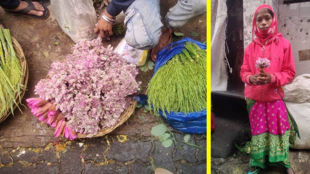 Nashik to Mumbai flower sellers, Dadar flower market vendors, Sonalu flowers sale Mumbai, flower vendors,