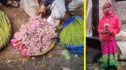 मुंबईकरांसाठी भाताची लोंबी… सोनालूची फुले…