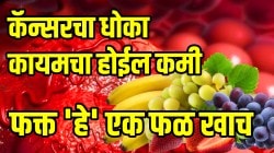 दररोज सकाळी खा ‘हे’ एक फळ अन् आयुष्यात कॅन्सरचा धोका होईल कमी; डॉक्टरांनी सांगितले थक्क करणारे फायदे