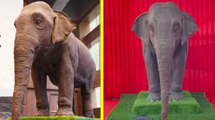 animatronic elephant, mechanical elephant for schools, Dharavi elephant event, PETA elephant awareness India, Eli animatronic elephant, educational elephant robot,
