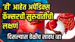 Appendix Cancer: सतत पोट दुखतं? दुर्लक्ष करू नका; ‘ही’ आहेत अपेंडिक्स कॅन्सरची सुरुवातीची लक्षणं; दिसल्यास वेळीच सावध व्हा!