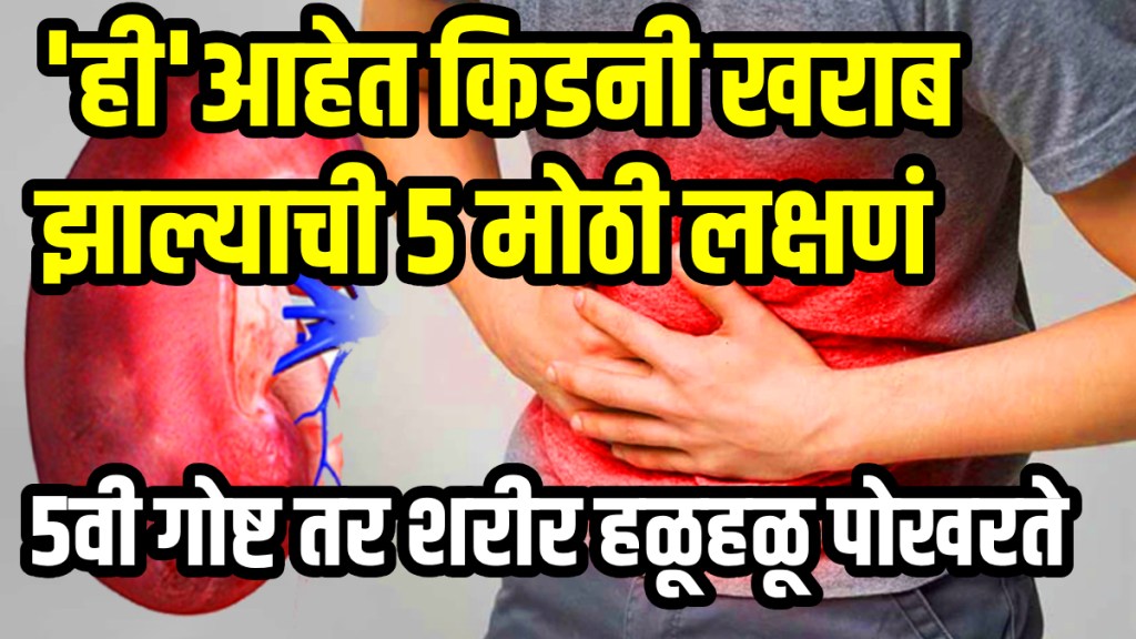 Kidney failure 15 common causes do not ignore even by mistake