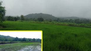 Farmers Murbad Shahapur, on-site e-crop inspection, e-crop inspection app, Kalyan farm inspection, Thane agriculture benefits, mobile crop survey, remote area farming challenges,
