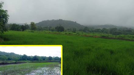Farmers Murbad Shahapur, on-site e-crop inspection, e-crop inspection app, Kalyan farm inspection, Thane agriculture benefits, mobile crop survey, remote area farming challenges,