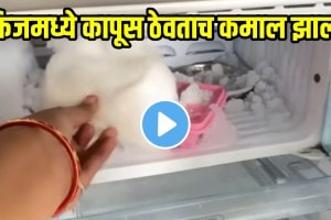 How To Save Electricity Bill Through Fridge