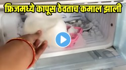 Kitchen jugad video: फ्रिजमध्ये कापूस ठेवताच कमाल झाली; पहिल्याच महिन्यात अर्ध्यापेक्षा कमी येईल वीज बिल