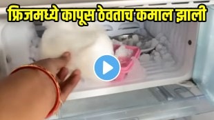 How To Save Electricity Bill Through Fridge