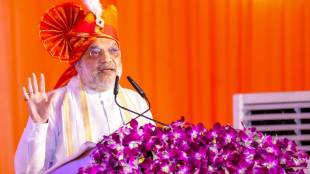 Amit Shah Central government