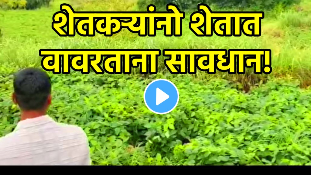 Farmer Fight With Leopard video