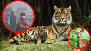 National Crime Records Bureau report, environmental crimes Maharashtra, Maharashtra pollution cases, forest conservation laws India,