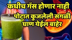 कधीच गॅस होणार नाही, पोटात कुजलेली सगळी घाण येईल बाहेर; आठवड्यातून एकदा फक्त ‘या’ भाजीचा ज्यूस प्या