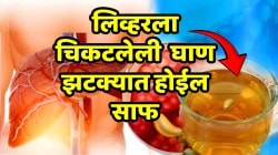 लिव्हरच्या कानाकोप-यात चिकटलेली घाण झटक्यात होईल साफ; फक्त रात्री झोपण्यापूर्वी ‘हे’ पाणी प्या रक्तही १०० पटीनं शुद्ध होईल