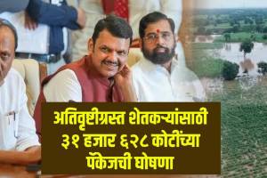 Devendra Fadnavis On Flood Relief Package