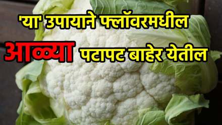 The larvae in the flower will come out quickly The larvae in the flower will come out quickly