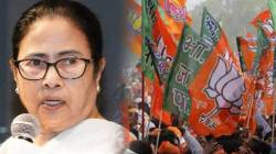 बंगालमध्ये पुन्हा आमदाराला मारहाण, घुसखोरांमार्फत तृणमूलने हल्ला घडवल्याचा भाजपचा आरोप