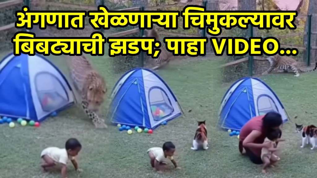 A leopard tried to attack a Small baby