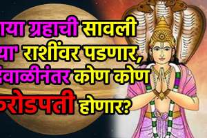 Ketu Purva Phalguni Nakshatra Gochar