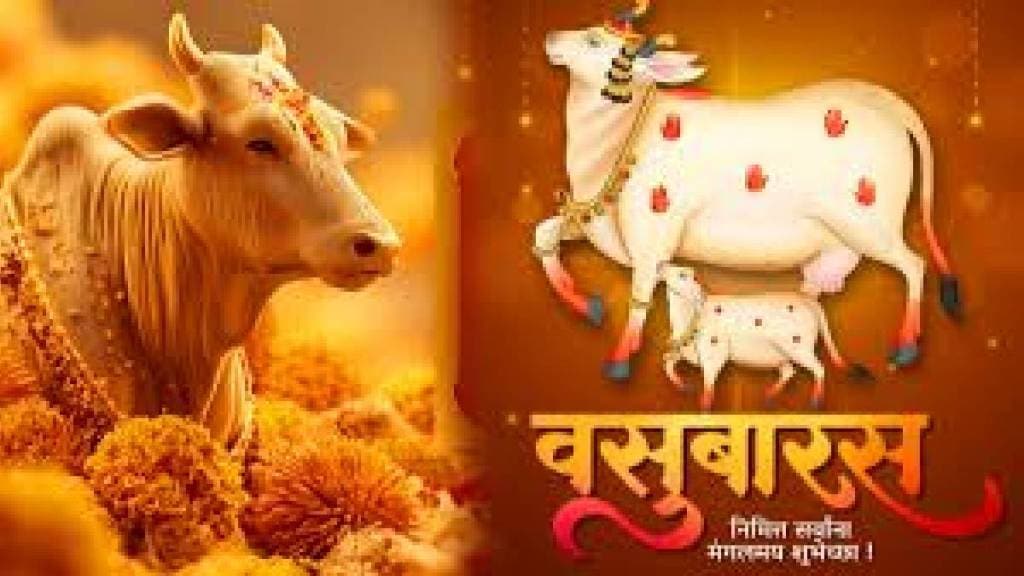 satara diwali festival begins with govatsa worship