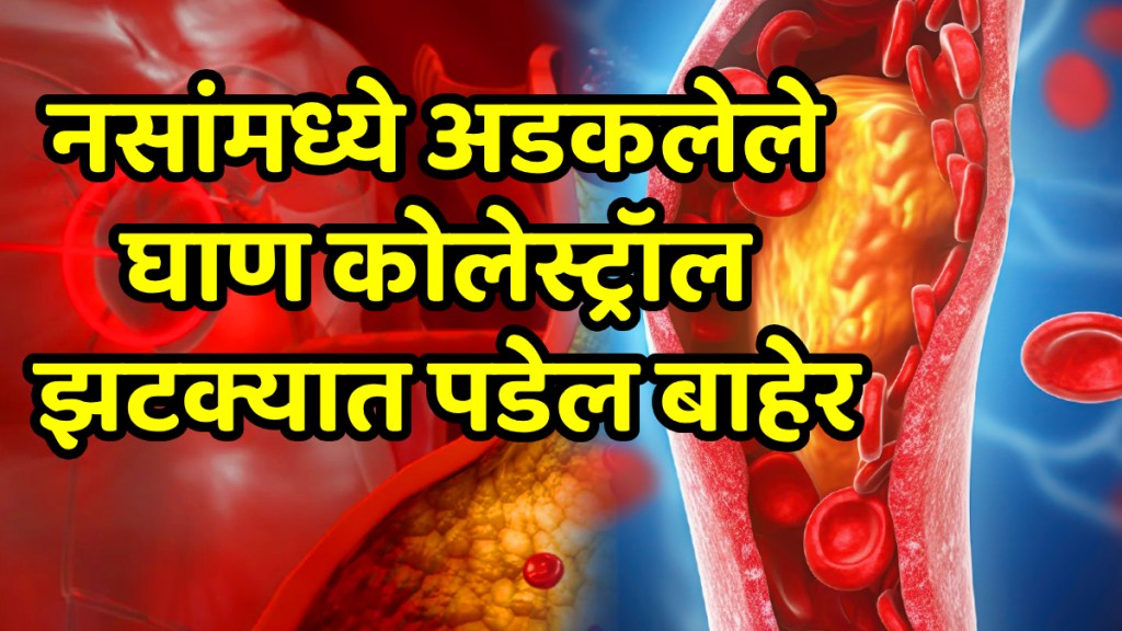 consume these 5 foods for control ldl cholestrol these foods will help to melt fat know foods list