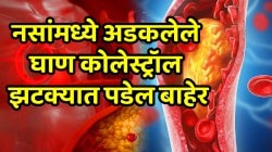 नसांमध्ये अडकलेले घाण कोलेस्ट्रॉल झटक्यात पडेल बाहेर; ‘हे’ ५ पदार्थ कोलेस्ट्रॉलसाठी मृत्युदंड, ३० दिवसांत शरीर होईल स्वच्छ