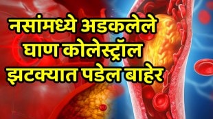 consume these 5 foods for control ldl cholestrol these foods will help to melt fat know foods list