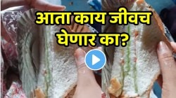 VIDEO: “आता काय जीवच घेणार का?” तुम्हीही ट्रेनमध्ये खायला घेताय? थांबा…समोर आलेला प्रकार पाहून धक्का बसेल