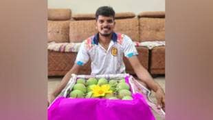 Hapus mango season, Devgad Hapus mango market, Malvan mango growers, early Hapus mango shipment Mumbai, Sindhudurg Hapus mangoes,