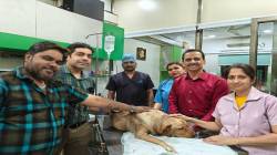 श्वानाला अन्नही गिळता येईना…पहिल्यांदाच पेरोरल एंडोस्कोपिक मायोटॉमी प्रक्रियेचा पुण्यातील डॉक्टरांनी शोधला मार्ग
