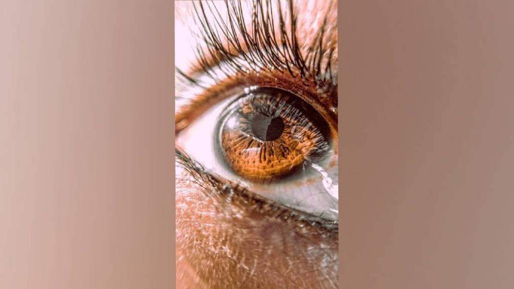 Scientists restore vision in elderly using Prima micro retinal implant