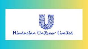 hindustan unilever substantial returns to shareholders