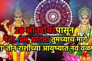 Shukra Chitra Nakshatra Gochar 2025