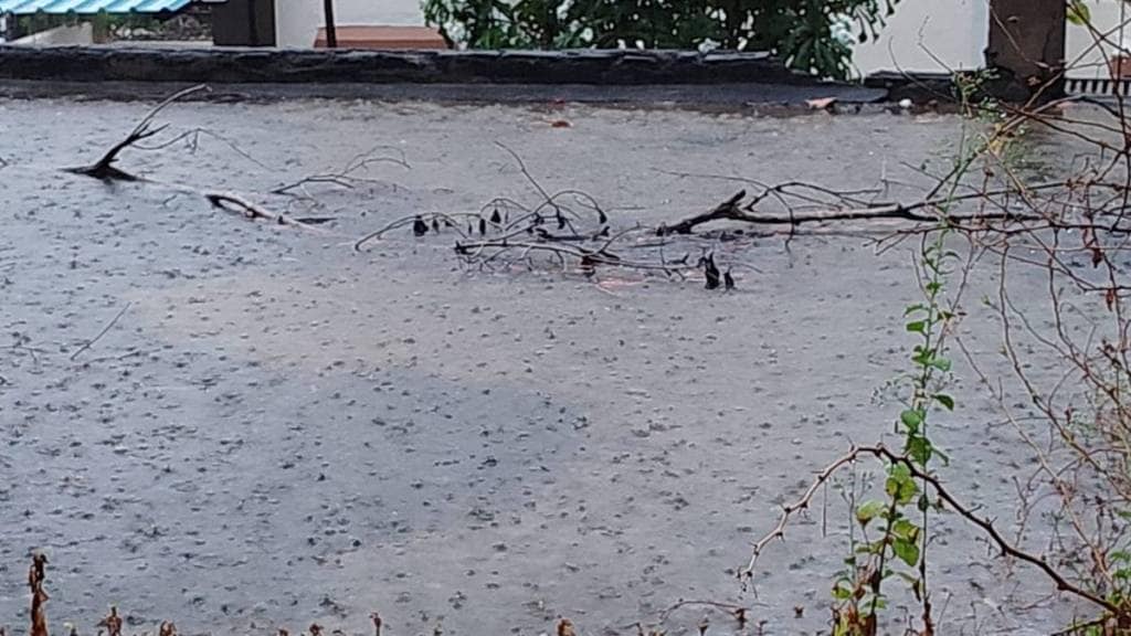 akola heavy rainfall akola heavy rainfall