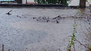 akola heavy rainfall