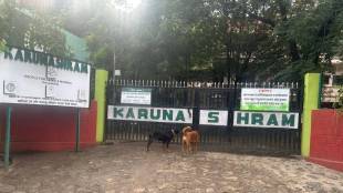 Wardha People for animals runs Karunashram