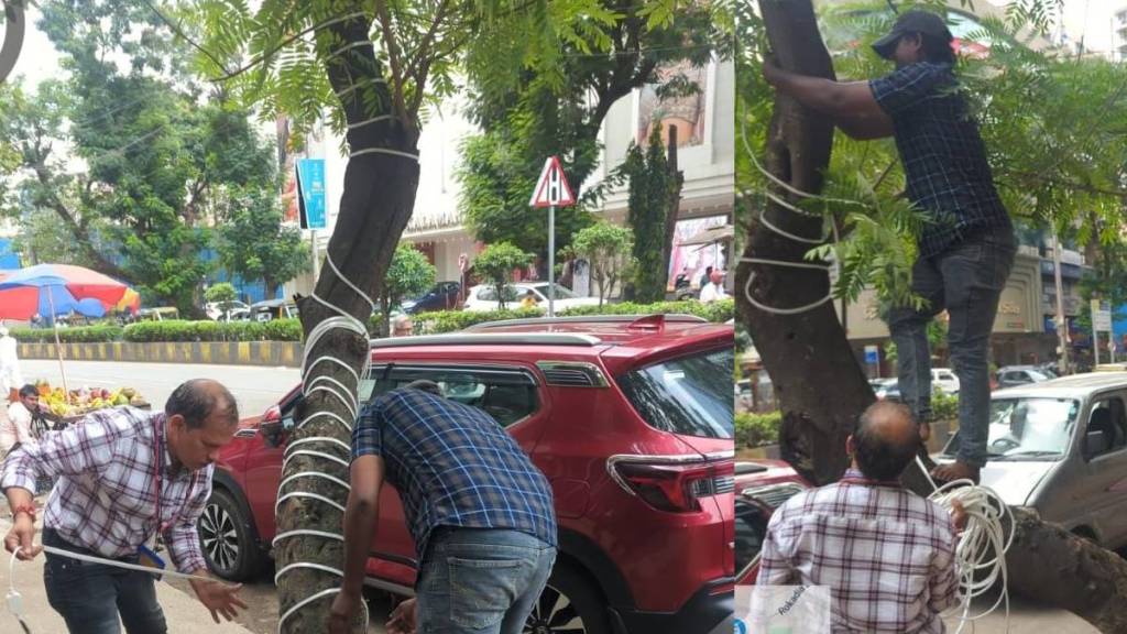 Mumbai Diwali tree lighting