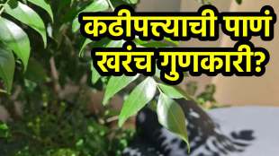 Eating curry leaves on an empty stomach