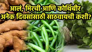 Coriander Green chillies and Ginger How to keep Fresh