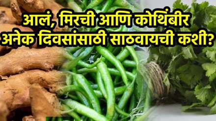 Coriander Green chillies and Ginger How to keep Fresh Coriander Green chillies and Ginger How to keep Fresh