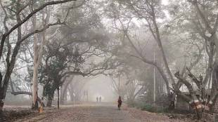 Mumbai cold weather