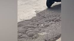 दादरच्या टिळक पुलावरील रस्त्याची दुर्दशा, काही आठवड्यांपूर्वी रुंदीकरण केलेला भाग उखडला; वाहतूक कोंडीत वाढ ; प्रवाशांची सुरक्षा वाऱ्यावर