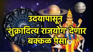 Surya and Shukra make shukraditya rajyog