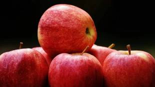 Identify Real vs Artificial Apples