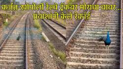 एकदम VIP ट्रीटमेंट… कर्जत-खोपोली रेल्वे रूळांवर मोर दिसताच मोटरमनने थांबवली ट्रेन, प्रवाशांनी कॅमेऱ्यात कैद केला मोराचा मुक्त वावर