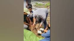 दहिसर नदीतून हरणाचे दुहेरी संकट; सकाळी पडलेले हरिण सुखरुप बाहेर, सायंकाळी पडलेले हरिण अद्याप बेपत्ता