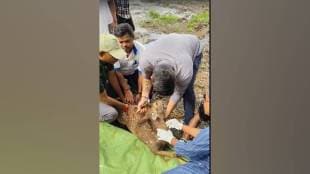 Mumbai two deer fell into dahisar river one rescued in morning other fallen