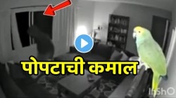 पोपटाची कमाल; घरात आलेल्या चोराला पाहून असा आवाज काढला की…चोरानं क्षणात ठोकली धूम; VIDEO पाहून तुम्हीही कराल कौतुक