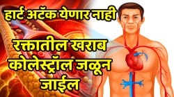 रक्तातील खराब कोलेस्ट्रॉल जाईल जळून; हार्ट अटॅकपासून राहाल १० हात लांब, फक्त दररोज खा ‘या’ ४ बिया